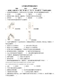 广东省潮州市湘桥区城西中学2024-2025学年九年级上学期第一次化学月考试卷(无答案)