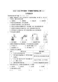 江苏省南京市2024-2025学年九年级上学期化学期中练习卷