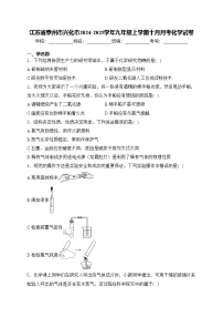 江苏省泰州市兴化市2024-2025学年九年级上学期十月月考化学试卷(含答案)