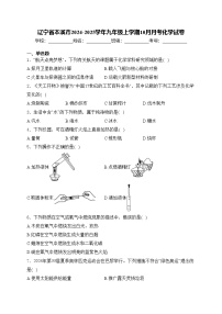 辽宁省本溪市2024-2025学年九年级上学期10月月考化学试卷(含答案)