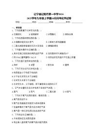 辽宁省辽阳市第一中学2024-2025学年九年级上学期10月月考化学试卷(含答案)