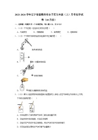 2023-2024学年辽宁省盘锦市双台子区九年级（上）月考化学试卷（10月份）