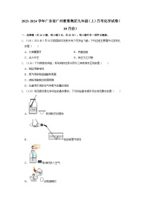 2023-2024学年广东省广州教育集团九年级（上）月考化学试卷（10月份）