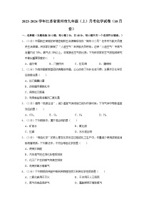 2023-2024学年江苏省常州市九年级（上）月考化学试卷（10月份）