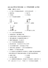 2023-2024学年辽宁省九年级（上）月考化学试卷（10月份）
