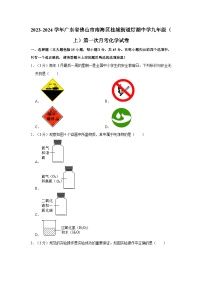 2023-2024学年广东省佛山市南海区桂城街道灯湖中学九年级（上）第一次月考化学试卷