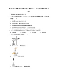 2023-2024学年四川省遂宁市九年级（上）月考化学试卷（10月份）