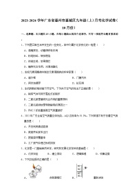 2023-2024学年广东省惠州市惠城区九年级（上）月考化学试卷（10月份）