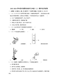 2023-2024学年贵州省黔东南州九年级（上）期中化学试卷