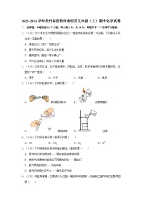 2023-2024学年贵州省贵阳市南明区九年级（上）期中化学试卷