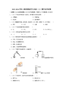 2023-2024学年上海市嘉定区九年级（上）期中化学试卷