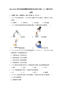 2023-2024学年河南省鹤壁市浚县部分校九年级（上）期中化学试卷