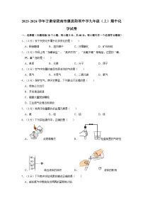 2023-2024学年甘肃省陇南市康县阳坝中学九年级（上）期中化学试卷