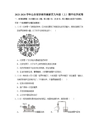 2023-2024学年山东省济南市高新区九年级（上）期中化学试卷