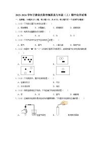 2023-2024学年甘肃省庆阳市镇原县九年级（上）期中化学试卷