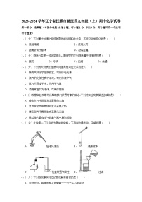 2023-2024学年辽宁省抚顺市新抚区九年级（上）期中化学试卷