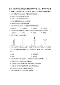 2023-2024学年山东省烟台市莱州市八年级（上）期中化学试卷