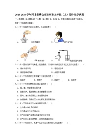 2023-2024学年河北省唐山市滦州市九年级（上）期中化学试卷