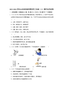 2023-2024学年山东省济南市莱芜区八年级（上）期中化学试卷