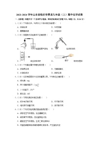 2023-2024学年山东省临沂市费县九年级（上）期中化学试卷