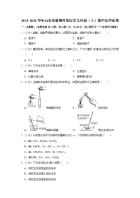 2023-2024学年山东省淄博市张店区九年级（上）期中化学试卷