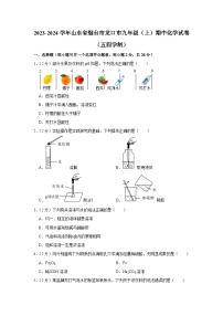 2023-2024学年山东省烟台市龙口市九年级（上）期中化学试卷（五四学制）