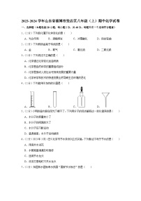 2023-2024学年山东省淄博市张店区八年级（上）期中化学试卷