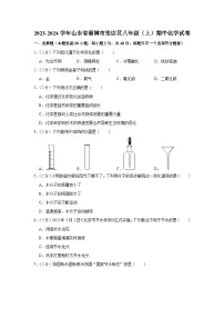 2023-2024学年山东省淄博市张店区八年级（上）期中化学试卷
