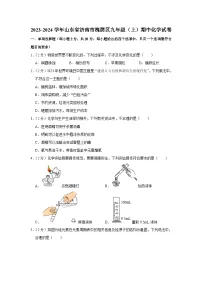 2023-2024学年山东省济南市槐荫区九年级(上)期中化学试卷