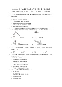 2023-2024学年山东省潍坊市九年级（上）期中化学试卷