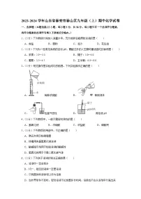 2023-2024学年山东省泰安市泰山区九年级（上）期中化学试卷