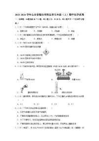 2023-2024学年山东省烟台市招远市九年级（上）期中化学试卷