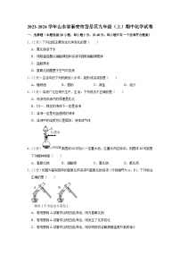 2023-2024学年山东省泰安市岱岳区九年级（上）期中化学试卷