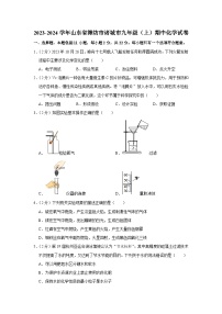 2023-2024学年山东省潍坊市诸城市九年级（上）期中化学试卷