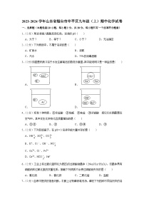 2023-2024学年山东省烟台市牟平区九年级（上）期中化学试卷