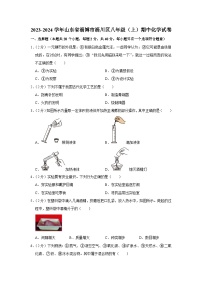 2023-2024学年山东省淄博市淄川区八年级（上）期中化学试卷