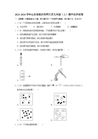 2023-2024学年山东省临沂市罗庄区九年级（上）期中化学试卷