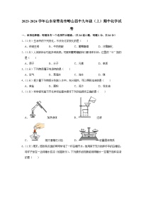 2023-2024学年山东省青岛市崂山四中九年级（上）期中化学试卷