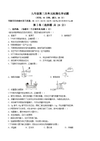 2023-2024学年山东省青岛市西海岸新区九年级（上）第二次月考化学试卷（12月份）