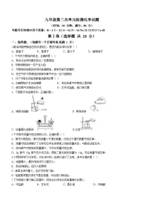 2023-2024学年山东省青岛市西海岸新区九年级（上）第二次月考化学试卷（12月份）