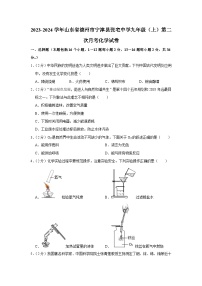 2023-2024学年山东省德州市宁津县张宅中学九年级（上）第二次月考化学试卷