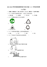 2023-2024学年河南省洛阳市洛宁县九年级（上）月考化学试卷（12月份）