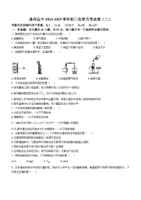 福建省泉州市第五中学2024-2025学年九年级上学期化学月考试卷（二）(无答案)