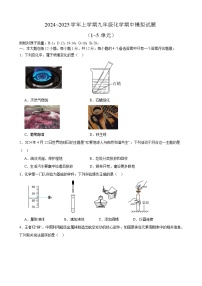 安徽省合肥市西苑中学2024~2025学年九年级上学期化学期中模拟试题