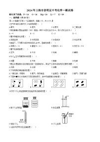 2024年上海市崇明区中考化学一模试卷