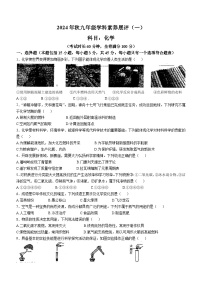 广东省茂名市化州市2024-2025学年九年级上学期第一次月考化学试题