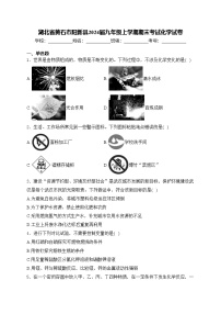湖北省黄石市阳新县2024届九年级上学期期末考试化学试卷(含答案)