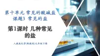 初中化学人教版（2024）九年级下册（2024）课题3 常见的盐优秀ppt课件