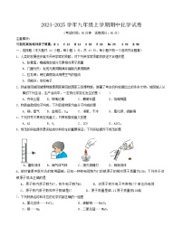 河南省郑州市郑东新区外国语中学2024-2025学年九年级上学期期中考试化学试卷