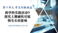 化学九年级下册（2024）跨学科实践活动9 探究土壤酸碱性对植物生长的影响优秀课件ppt